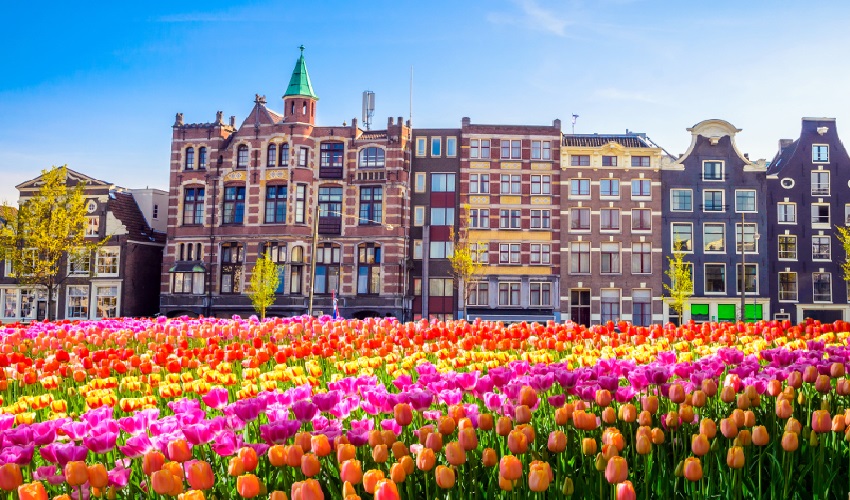Viaje circulo imperial (amsterdam - viena) desde Guanajuato